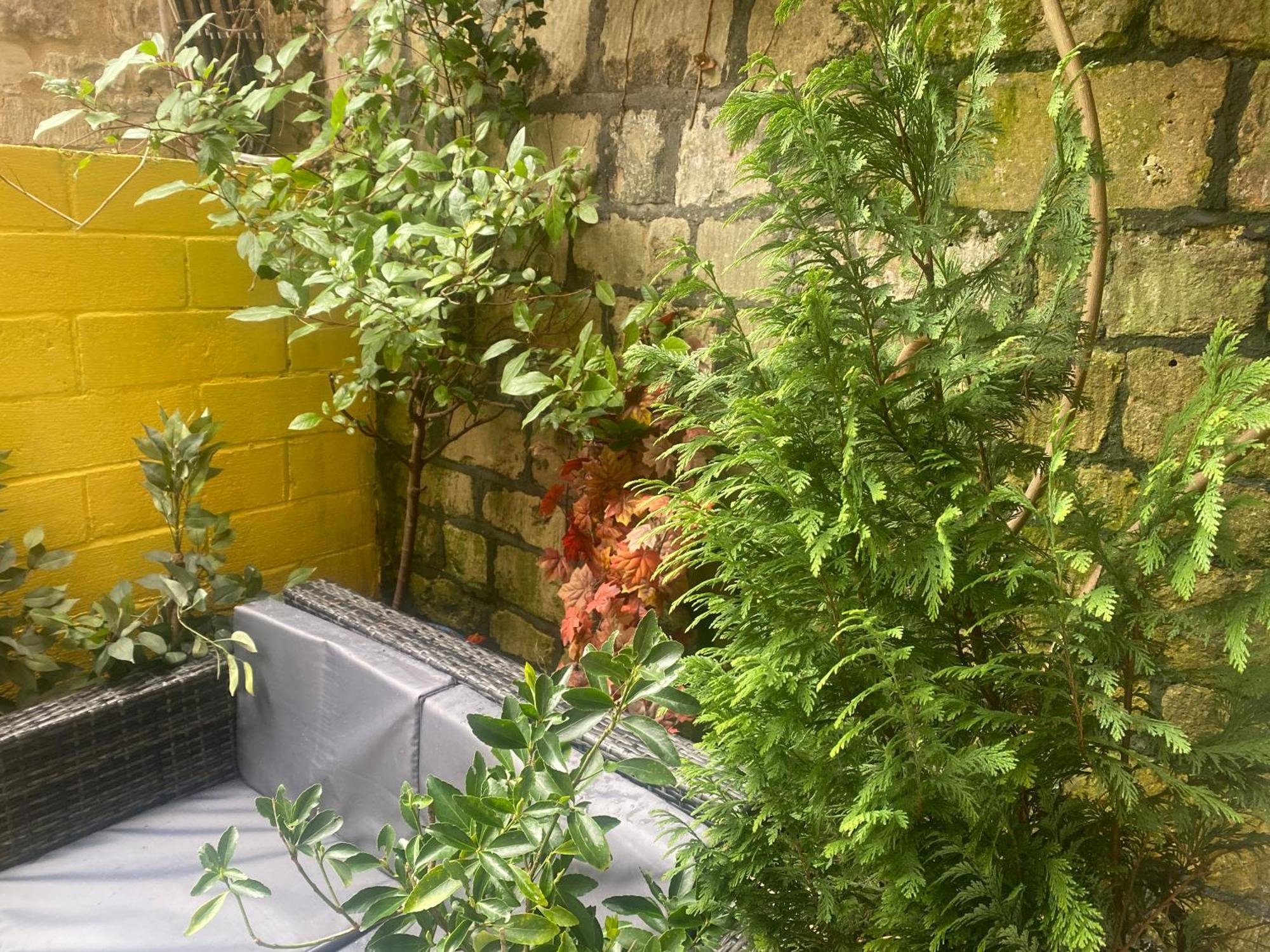 Quiet Lower Floor 2 Bed City Apartment With Private Patio Garden Bath Eksteriør billede